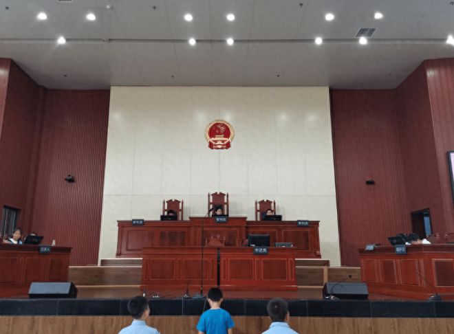 弟弟许家印是首富他专门承接恒大工程如今公司被起诉60米乐M6 米乐0多次(图2)