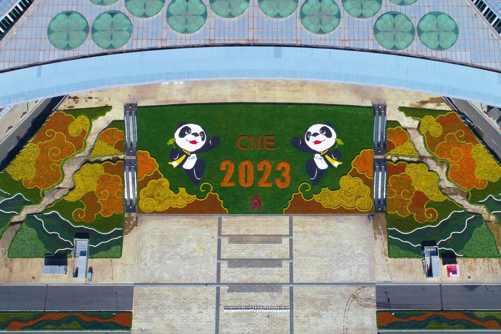 第六届进博会场馆景观装饰全面“定妆”米乐 M6米乐(图3) 第六届进博会场馆景观装饰全面“定妆”米乐 M6米乐(图3)