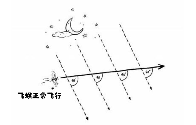 如果时光能倒回学生时代你会努力学习吗?(图11) 如果时光能倒回学生时代你会努力学习吗?(图11)