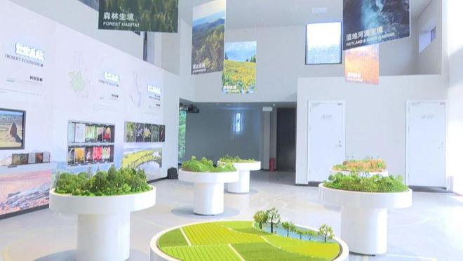 探访世园会分会场:龙门山生物多样性博览园建设如火如荼 预计3月底全面完工(图4) 探访世园会分会场:龙门山生物多样性博览园建设如火如荼 预计3月底全面完工(图4)