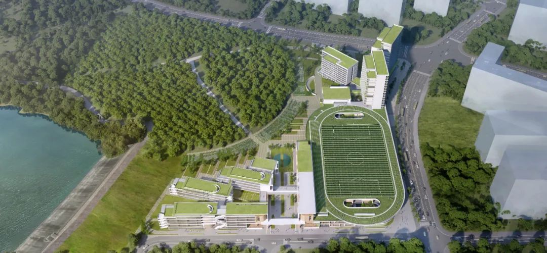 汇总!详情!109个深圳大学、中学、小学学校建设项目狂飙!(图1) 汇总!详情!109个深圳大学、中学、小学学校建设项目狂飙!(图1)