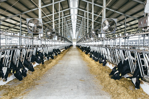 重大工程建设扎实推进(图8)