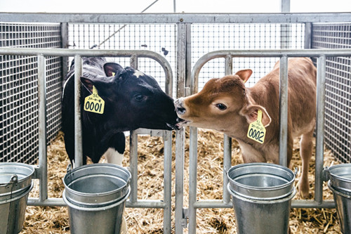 重大工程建设扎实推进(图9)