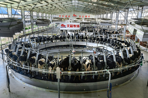 重大工程建设扎实推进(图10)