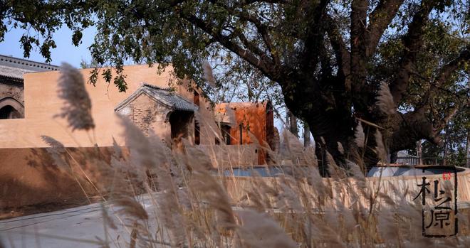 夯土墙肌理与建筑立面装饰:智慧与科技交融工程与艺术交汇(图5) 夯土墙肌理与建筑立面装饰:智慧与科技交融工程与艺术交汇(图5)