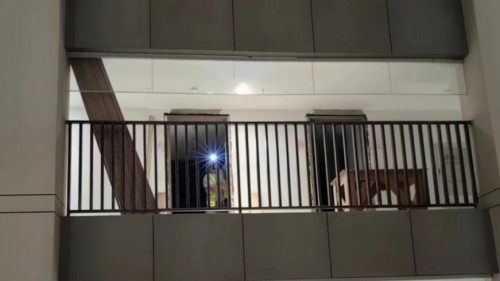 完工倒计时！中建二局装饰公司深圳分公司粤海江门项目“五一”假期不停工 坚守岗位保工期(图3)