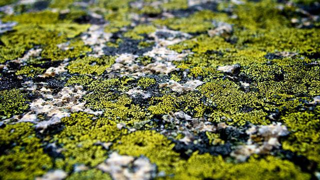 准婆家全款买婚房让我家出60万装修母亲笑笑直接付了60万首付(图6) 准婆家全款买婚房让我家出60万装修母亲笑笑直接付了60万首付(图6)