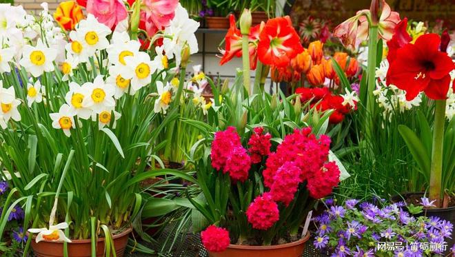 2024年度:中国银行邯郸分行营业网点装修工程空调定点采购(图2) 2024年度:中国银行邯郸分行营业网点装修工程空调定点采购(图2)