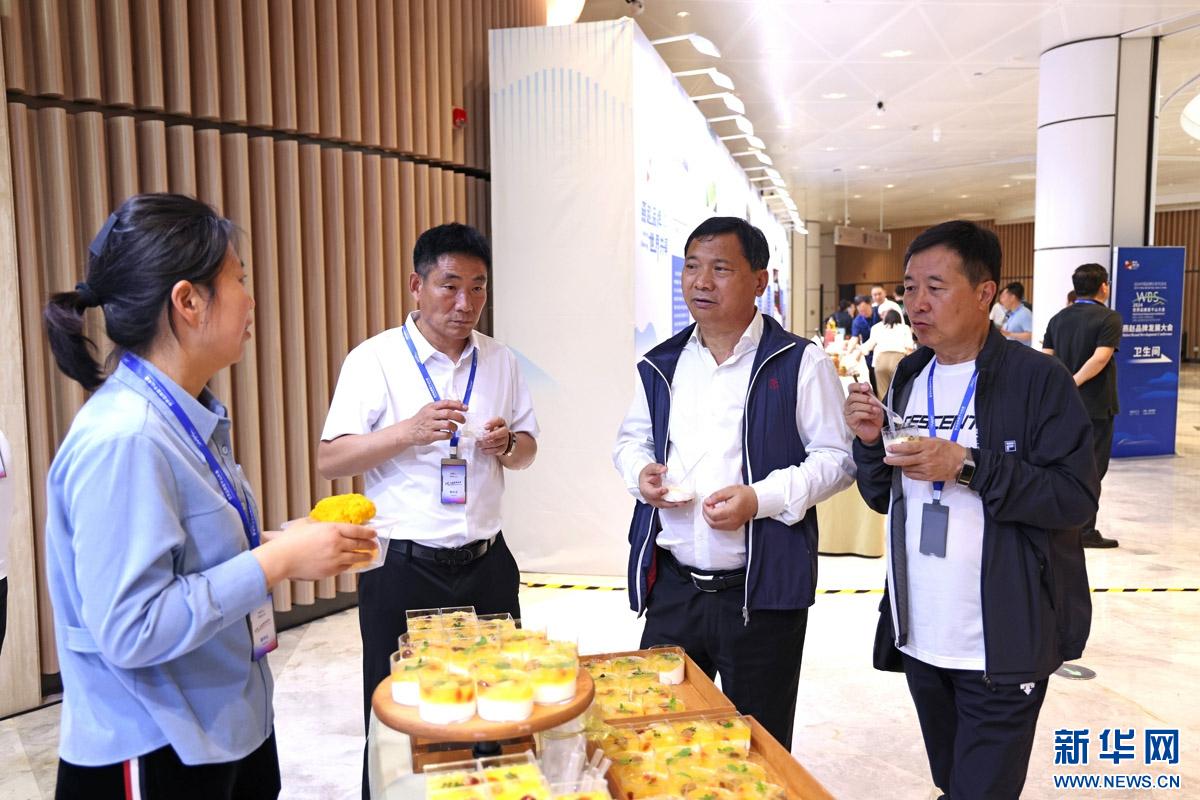汇聚燕赵品牌发展的磅礴力量——2024世界品牌莫干山大会燕赵发展大会侧记(图3)