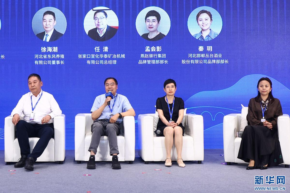 汇聚燕赵品牌发展的磅礴力量——2024世界品牌莫干山大会燕赵发展大会侧记(图4)