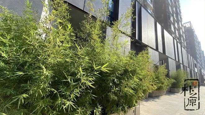 冷峻与温柔：混凝土装饰板的现代建筑新篇章(图5)